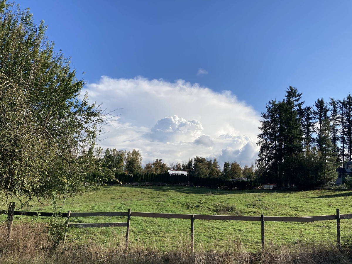 Culturally Appropriate Care in Edmonton